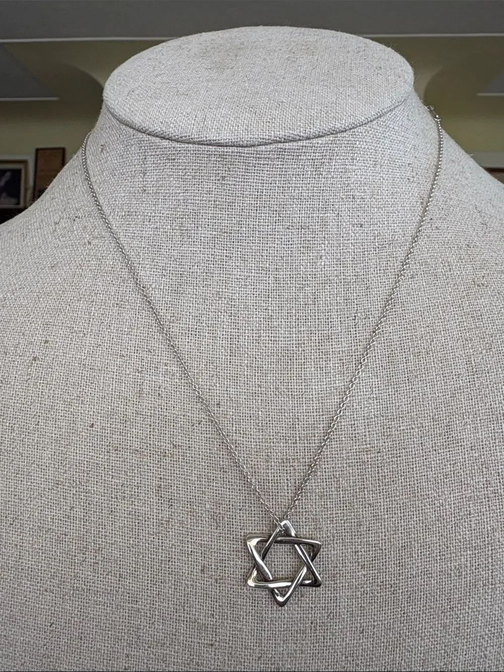 Tiffany & Co. Elsa Peretti Star of David Necklace 925 Sterling Silver (032526)
